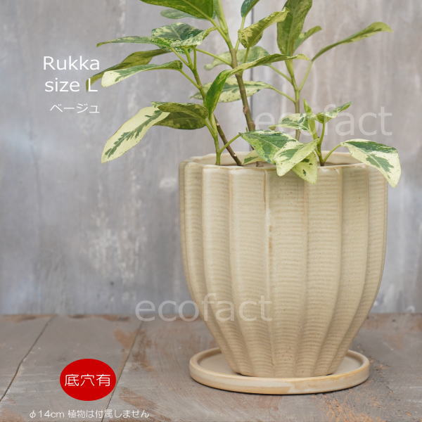フラワーポット 植木鉢 おしゃれ 陶器鉢 ミニポット 底穴あり ルッカ ベージュ メレンゲ型 φ14cm プランター 園芸鉢 観葉植物 多肉植物 熱帯植物 アグラオネマ カラテア