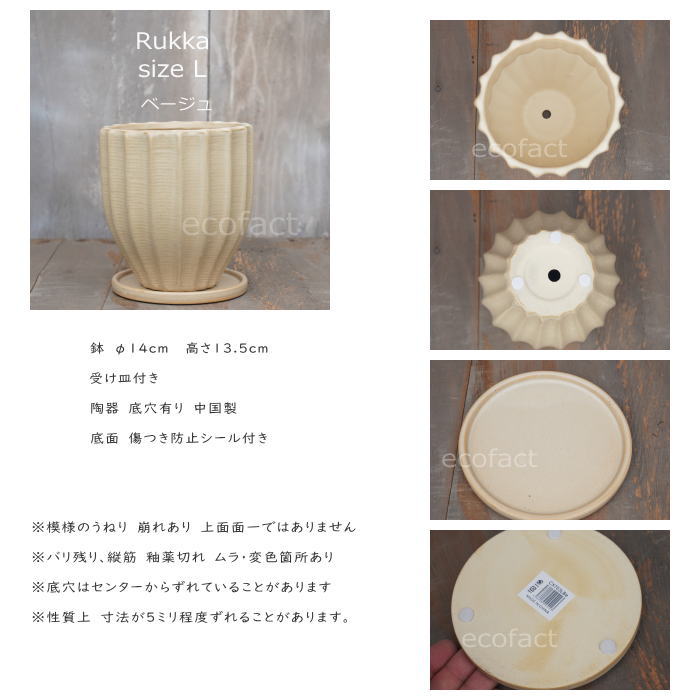 フラワーポット 植木鉢 おしゃれ 陶器鉢 ミニポット 底穴あり ルッカ ベージュ メレンゲ型 φ14cm プランター 園芸鉢 観葉植物 多肉植物 熱帯植物 アグラオネマ カラテア