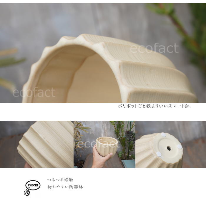 フラワーポット 植木鉢 おしゃれ 陶器鉢 ミニポット 底穴あり ルッカ ベージュ メレンゲ型 φ14cm プランター 園芸鉢 観葉植物 多肉植物 熱帯植物 アグラオネマ カラテア