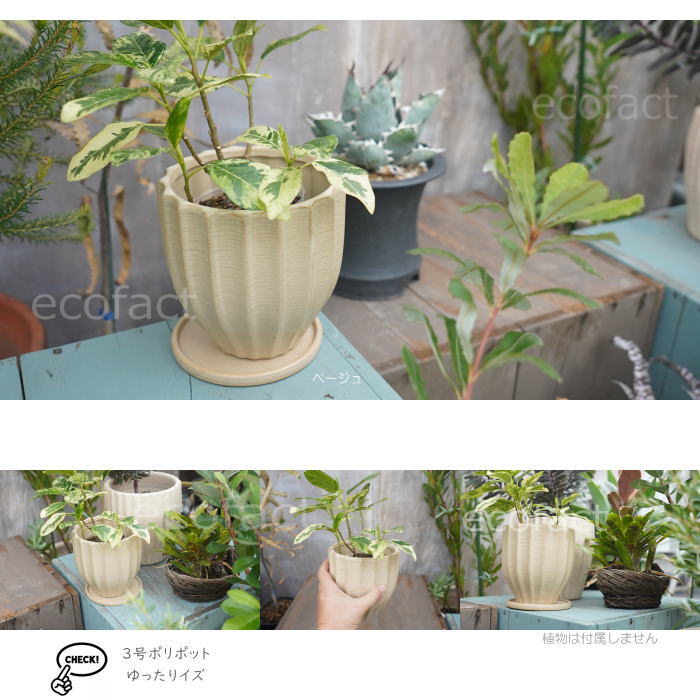 フラワーポット 植木鉢 おしゃれ 陶器鉢 ミニポット 底穴あり ルッカ ベージュ メレンゲ型 φ14cm プランター 園芸鉢 観葉植物 多肉植物 熱帯植物 アグラオネマ カラテア