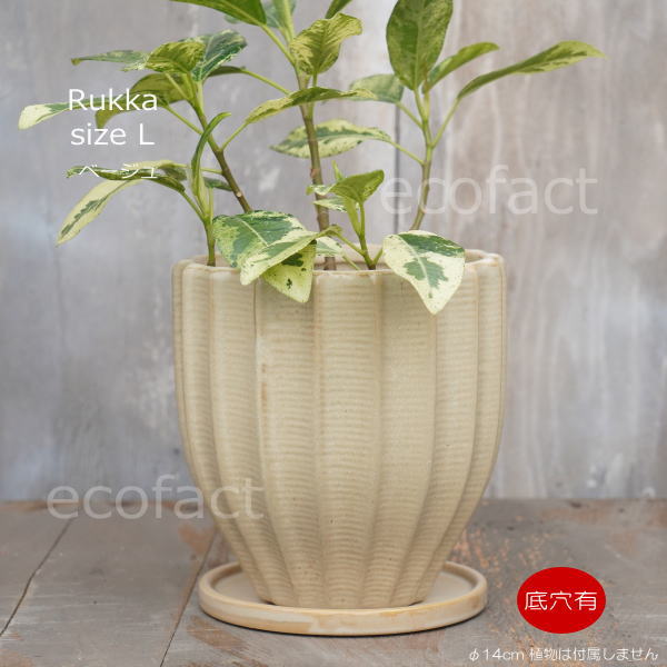 フラワーポット 植木鉢 おしゃれ 陶器鉢 ミニポット 底穴あり ルッカ ベージュ メレンゲ型 φ14cm プランター 園芸鉢 観葉植物 多肉植物 熱帯植物 アグラオネマ カラテア