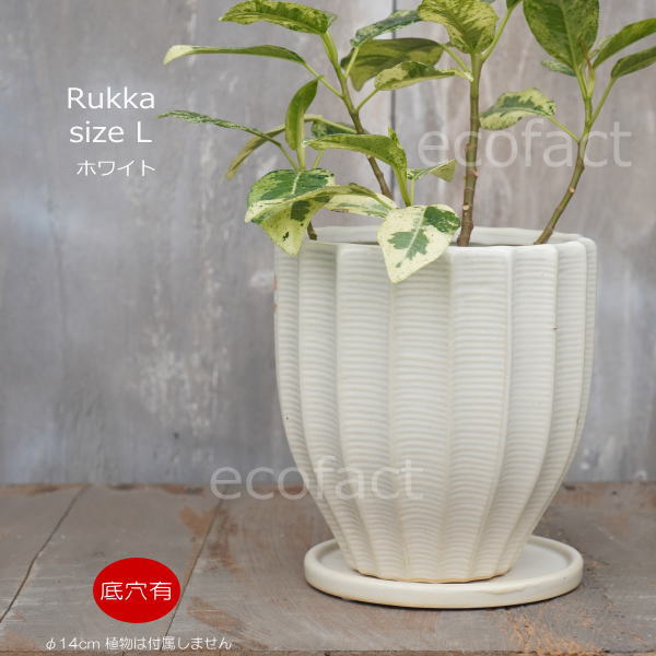 フラワーポット 植木鉢 おしゃれ 陶器鉢 ミニポット 底穴あり ルッカ ホワイト メレンゲ型 φ14cm プランター 園芸鉢 観葉植物 多肉植物 熱帯植物 アグラオネマ カラテア