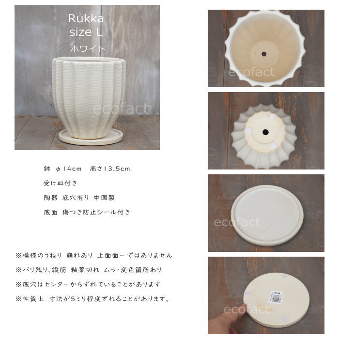 フラワーポット 植木鉢 おしゃれ 陶器鉢 ミニポット 底穴あり ルッカ ホワイト メレンゲ型 φ14cm プランター 園芸鉢 観葉植物 多肉植物 熱帯植物 アグラオネマ カラテア