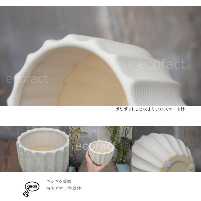 フラワーポット 植木鉢 おしゃれ 陶器鉢 ミニポット 底穴あり ルッカ ホワイト メレンゲ型 φ14cm プランター 園芸鉢 観葉植物 多肉植物 熱帯植物 アグラオネマ カラテア