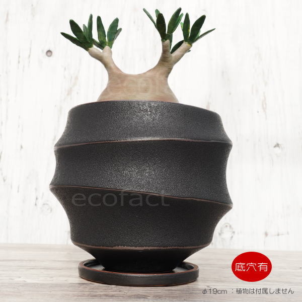 陶器鉢 植木鉢 ミニポット 底穴あり 皿付 ループ φ19cm おしゃれ かわいい プランター 陶芸鉢 観葉植物 アガベ サボテン ビザールプランツ 塊根植物 コーデックス 多肉植物