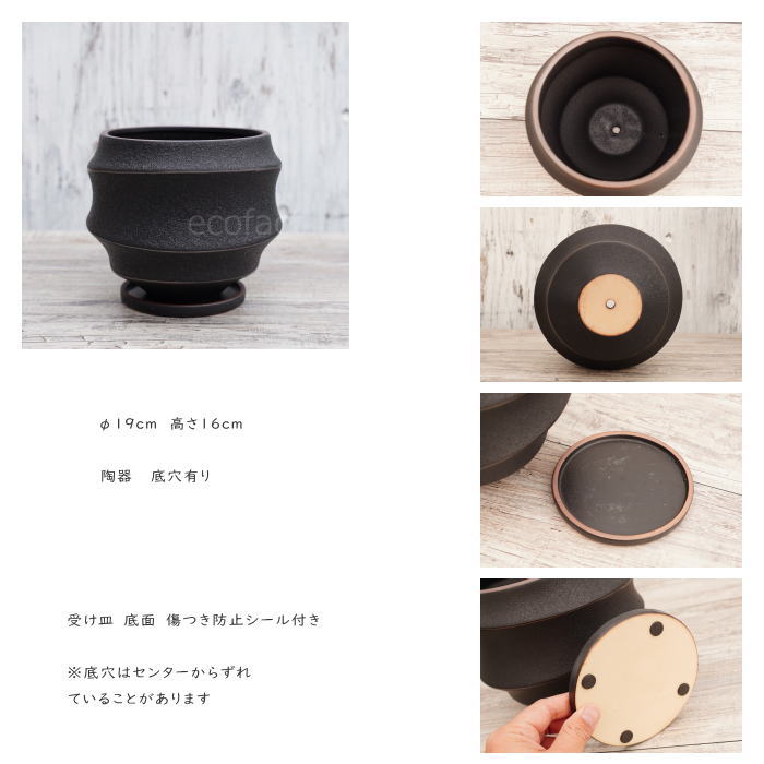 陶器鉢 植木鉢 ミニポット 底穴あり 皿付 ループ φ19cm おしゃれ かわいい プランター 陶芸鉢 観葉植物 アガベ サボテン ビザールプランツ 塊根植物 コーデックス 多肉植物