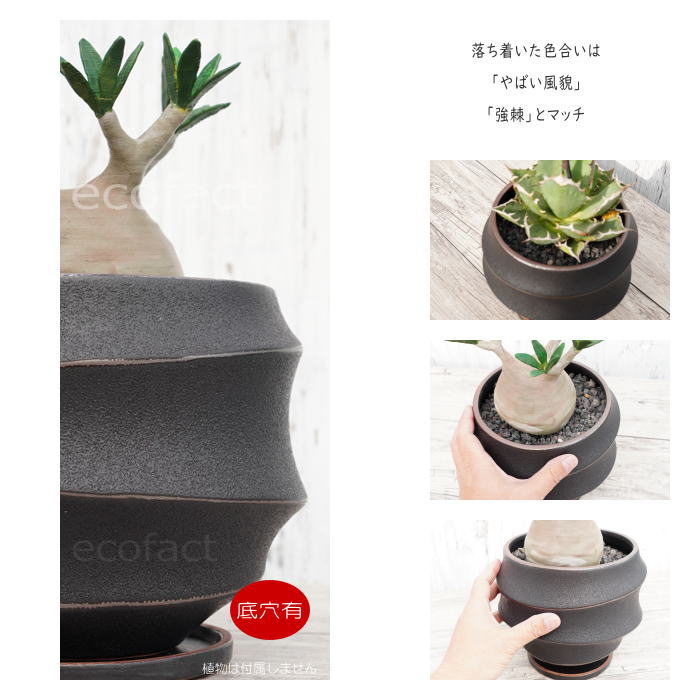 陶器鉢 植木鉢 ミニポット 底穴あり 皿付 ループ φ19cm おしゃれ かわいい プランター 陶芸鉢 観葉植物 アガベ サボテン ビザールプランツ 塊根植物 コーデックス 多肉植物