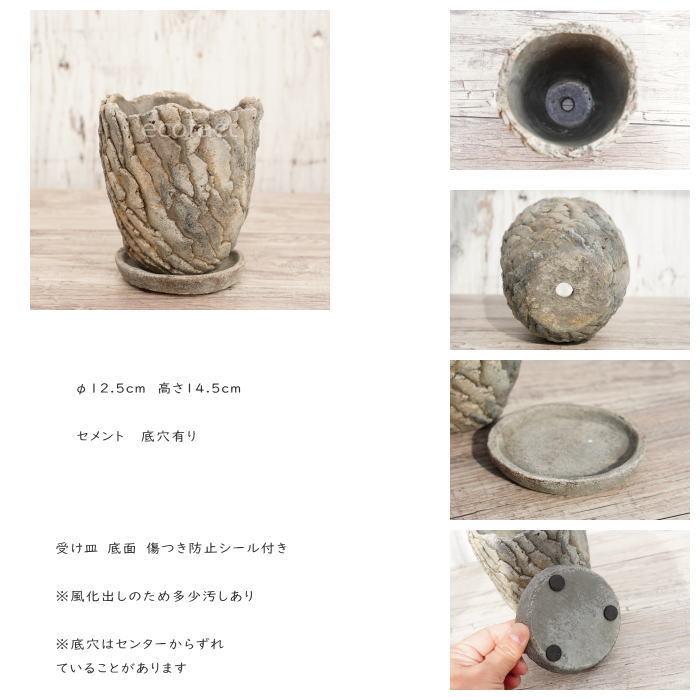 セメント鉢 植木鉢 ミニポット 底穴あり 皿付 クリフS φ12.5cm おしゃれ かわいい プランター 園芸鉢 観葉植物 アガベ サボテン ビザールプランツ 塊根植物 コーデックス 多肉植物