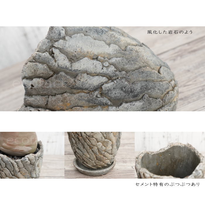 セメント鉢 植木鉢 ミニポット 底穴あり 皿付 クリフS φ12.5cm おしゃれ かわいい プランター 園芸鉢 観葉植物 アガベ サボテン ビザールプランツ 塊根植物 コーデックス 多肉植物