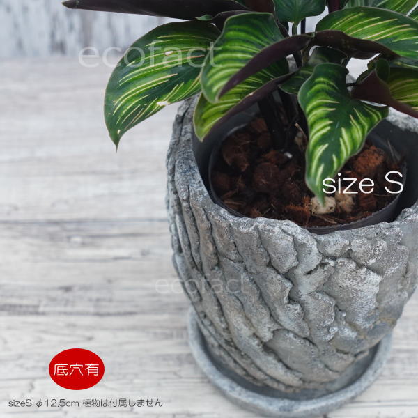 セメント鉢 植木鉢 ミニポット 底穴あり 皿付 クリフS φ12.5cm おしゃれ かわいい プランター 園芸鉢 観葉植物 アガベ サボテン ビザールプランツ 塊根植物 コーデックス 多肉植物