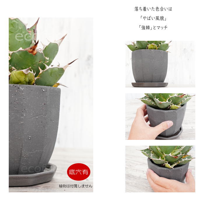 陶器鉢 植木鉢 ミニポット 底穴あり 皿付 粗目十角 黒 φ13cm おしゃれ かわいい プランター 園芸鉢 観葉植物 アガベ サボテン ビザールプランツ 塊根植物 コーデックス 多肉植物