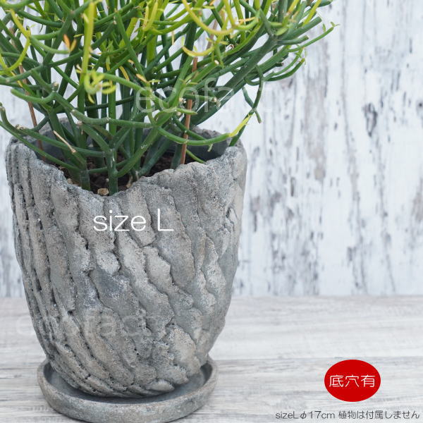 セメント鉢 植木鉢 ミニポット 底穴あり 皿付 クリフL φ17cm おしゃれ かわいい プランター 園芸鉢 観葉植物 アガベ サボテン ビザールプランツ 塊根植物 コーデックス 多肉植物