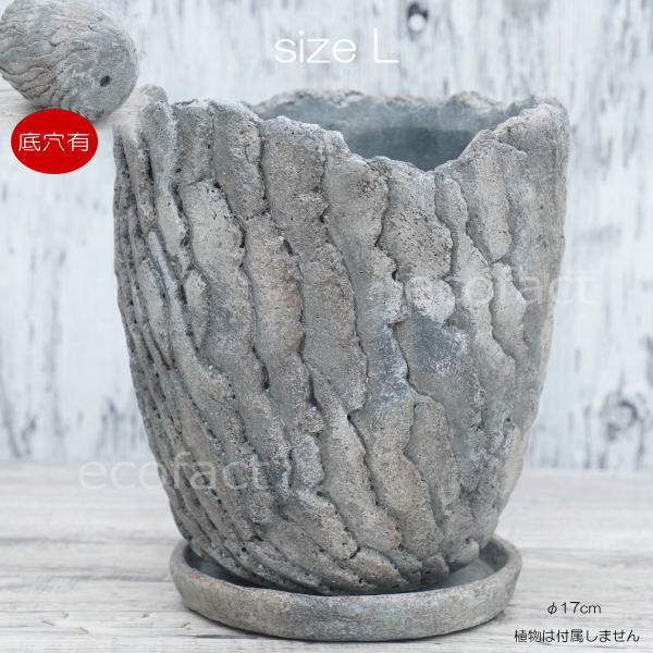 セメント鉢 植木鉢 ミニポット 底穴あり 皿付 クリフL φ17cm おしゃれ かわいい プランター 園芸鉢 観葉植物 アガベ サボテン ビザールプランツ 塊根植物 コーデックス 多肉植物