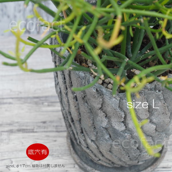 セメント鉢 植木鉢 ミニポット 底穴あり 皿付 クリフL φ17cm おしゃれ かわいい プランター 園芸鉢 観葉植物 アガベ サボテン ビザールプランツ 塊根植物 コーデックス 多肉植物