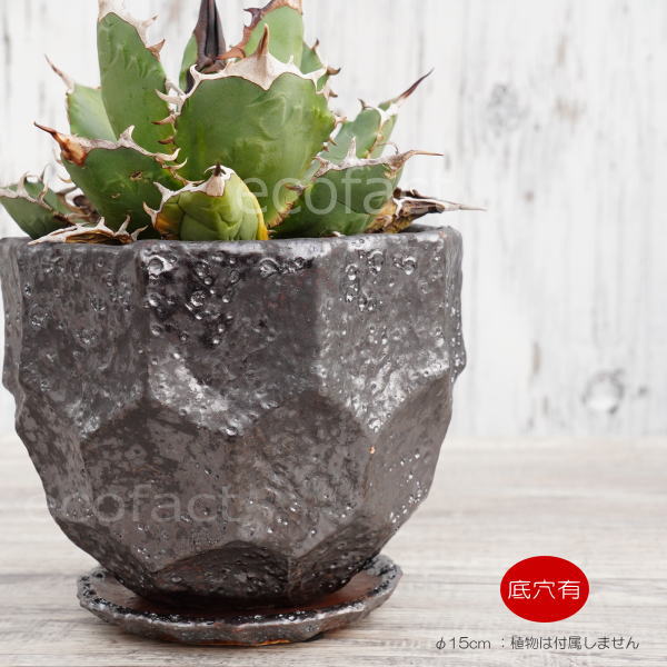 陶器鉢 植木鉢 カービングポット メタルM (焼鉄色 )皿付 φ15cm おしゃれ かわいい プランター 園芸鉢 観葉植物 アガベ サボテン ビザールプランツ 塊根植物 コーデックス 多肉植物