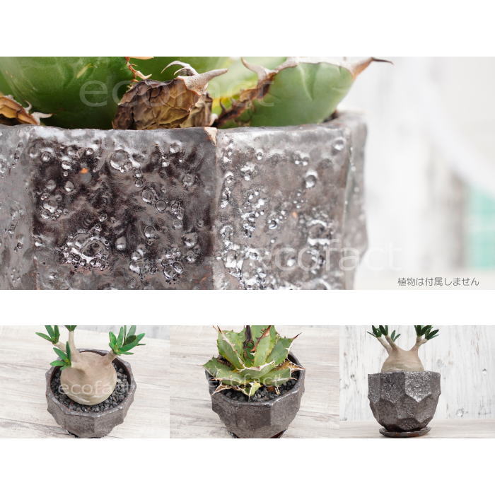 陶器鉢 植木鉢 カービングポット メタルM (焼鉄色 )皿付 φ15cm おしゃれ かわいい プランター 園芸鉢 観葉植物 アガベ サボテン ビザールプランツ 塊根植物 コーデックス 多肉植物