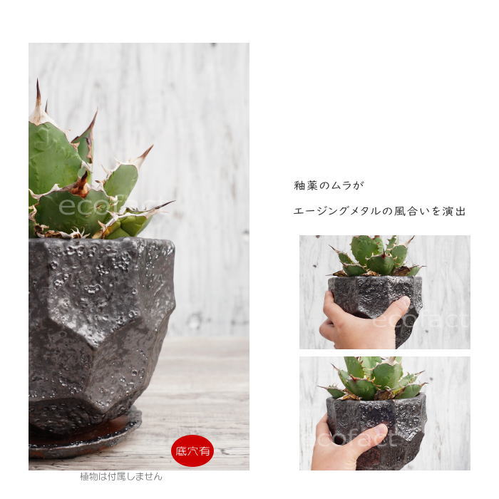 陶器鉢 植木鉢 カービングポット メタルM (焼鉄色 )皿付 φ15cm おしゃれ かわいい プランター 園芸鉢 観葉植物 アガベ サボテン ビザールプランツ 塊根植物 コーデックス 多肉植物