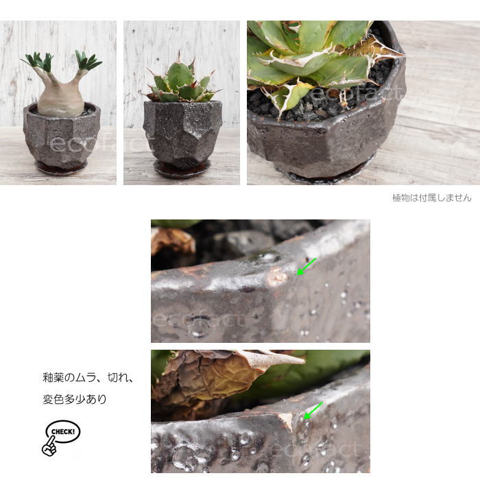 陶器鉢 植木鉢 カービングポット メタルM (焼鉄色 )皿付 φ15cm おしゃれ かわいい プランター 園芸鉢 観葉植物 アガベ サボテン ビザールプランツ 塊根植物 コーデックス 多肉植物
