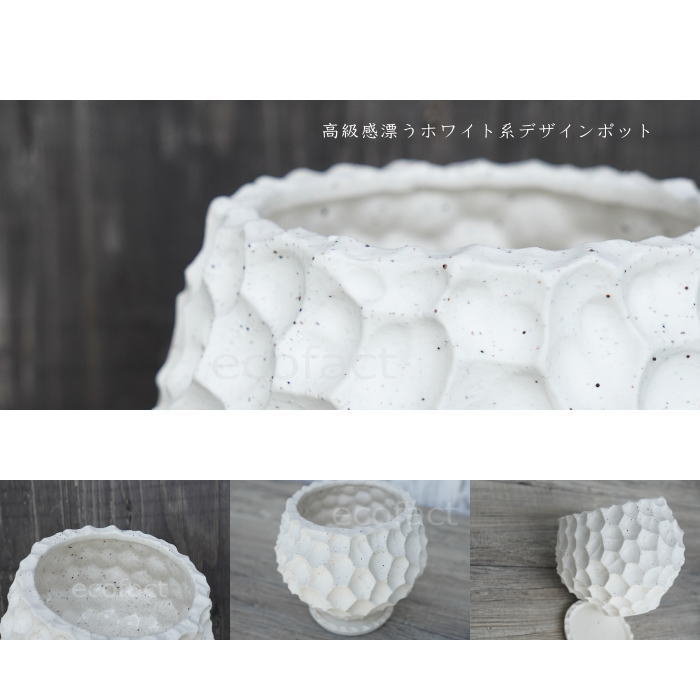 陶器鉢 植木鉢 カービングポット 球体型(バニラホワイト )皿付 φ17cm おしゃれ かわいい プランター 園芸鉢 観葉植物 アガベ サボテン ビザールプランツ 塊根植物 コーデックス 多肉植物