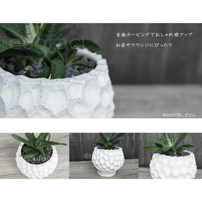 陶器鉢 植木鉢 カービングポット 球体型(バニラホワイト )皿付 φ17cm おしゃれ かわいい プランター 園芸鉢 観葉植物 アガベ サボテン ビザールプランツ 塊根植物 コーデックス 多肉植物