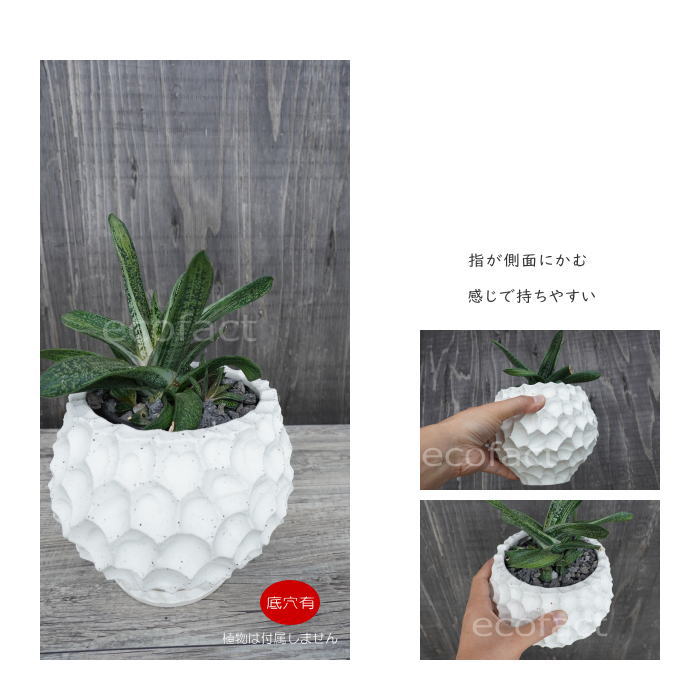 陶器鉢 植木鉢 カービングポット 球体型(バニラホワイト )皿付 φ17cm おしゃれ かわいい プランター 園芸鉢 観葉植物 アガベ サボテン ビザールプランツ 塊根植物 コーデックス 多肉植物