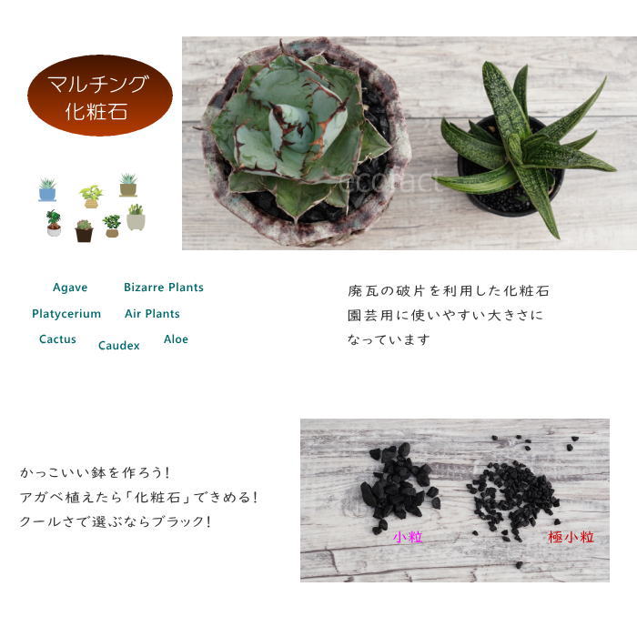 化粧石 黒 飾り石 極小粒(〼約4mm~6mm)500g 化粧砂 カワラエクラ ブラック (艶少なめ)化粧砂利 観葉植物 マルチング ストーン 多肉植物 アガベ サボテン ビザールプランツ 塊根植物(コーデックス)植木鉢 ポット おしゃれ ガーデニング