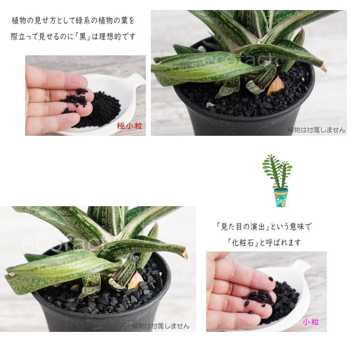 化粧石 黒 飾り石 極小粒(〼約4mm~6mm)500g 化粧砂 カワラエクラ ブラック (艶少なめ)化粧砂利 観葉植物 マルチング ストーン 多肉植物 アガベ サボテン ビザールプランツ 塊根植物(コーデックス)植木鉢 ポット おしゃれ ガーデニング