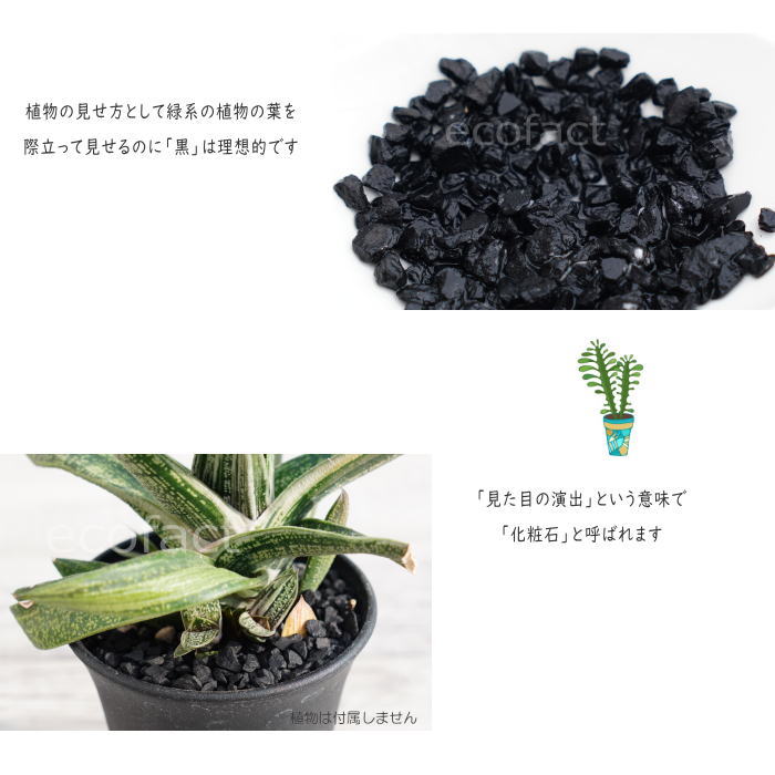 化粧石 黒 飾り石 特大粒(約5mm〜20mm)5kg 化粧砂 カワラエクラ ブラック (艶少なめ)化粧砂利 観葉植物 マルチング ストーン 多肉植物 アガベ サボテン ビザールプランツ 塊根植物(コーデックス)植木鉢 ポット おしゃれ ガーデニング