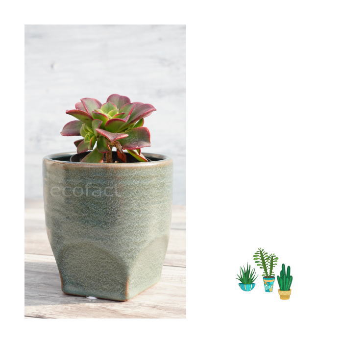 鉢カバー 陶器鉢 植木鉢 おしゃれ プランター 園芸鉢 テルエス11 青 多肉植物 サボテンポット