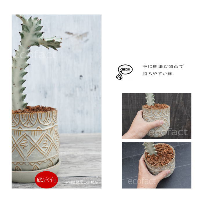 植木鉢 おしゃれ 陶器鉢 フラワーポット ミニポット 底穴あり フェミニンブルー φ12cm プランター 園芸鉢 観葉植物 多肉植物 熱帯植物 アッシュグレイ アグラオネマ カラテア