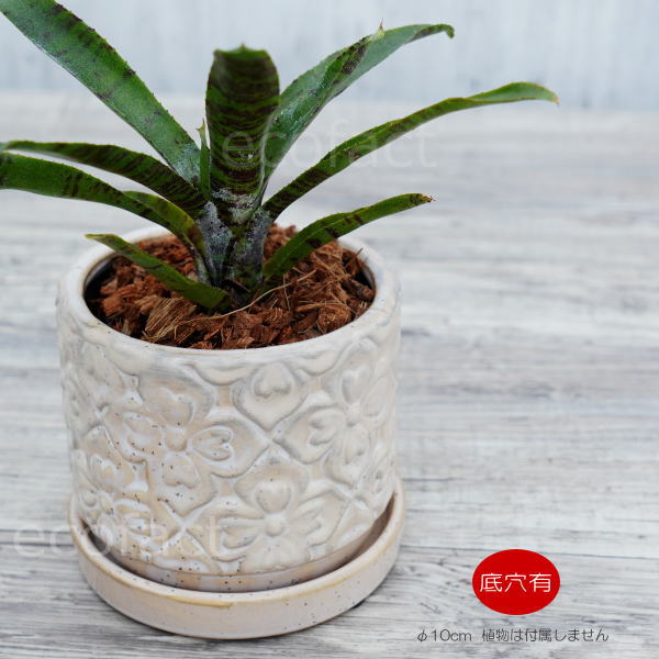 植木鉢 おしゃれ 陶器鉢 フラワーポット ミニポット 底穴あり モチーフラウンド ホワイト φ10cm プランター 園芸鉢 観葉植物 多肉植物 熱帯植物 アッシュグレイ
