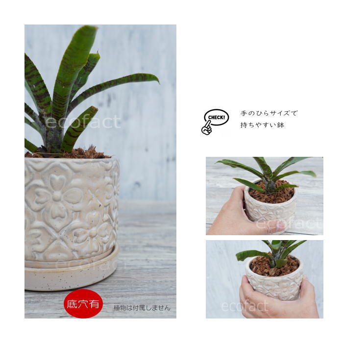 植木鉢 おしゃれ 陶器鉢 フラワーポット ミニポット 底穴あり モチーフラウンド ホワイト φ10cm プランター 園芸鉢 観葉植物 多肉植物 熱帯植物 アッシュグレイ