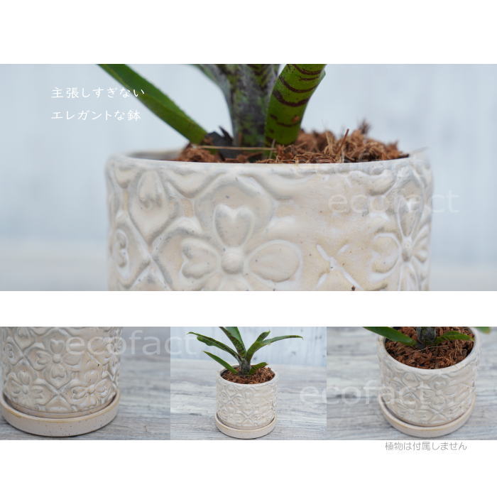 植木鉢 おしゃれ 陶器鉢 フラワーポット ミニポット 底穴あり モチーフラウンド ホワイト φ10cm プランター 園芸鉢 観葉植物 多肉植物 熱帯植物 アッシュグレイ