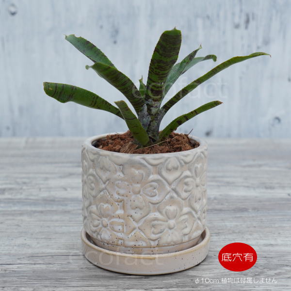 植木鉢 おしゃれ 陶器鉢 フラワーポット ミニポット 底穴あり モチーフラウンド ホワイト φ10cm プランター 園芸鉢 観葉植物 多肉植物 熱帯植物 アッシュグレイ