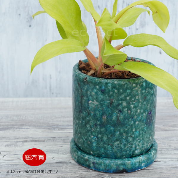 植木鉢 おしゃれ 陶器鉢 フラワーポット ミニポット 底穴あり フォレストS 筒型 φ12cm プランター 園芸鉢 観葉植物 多肉植物 熱帯植物 アンティークテラコッタ アッシュグレイ アグラオネマ カラテア