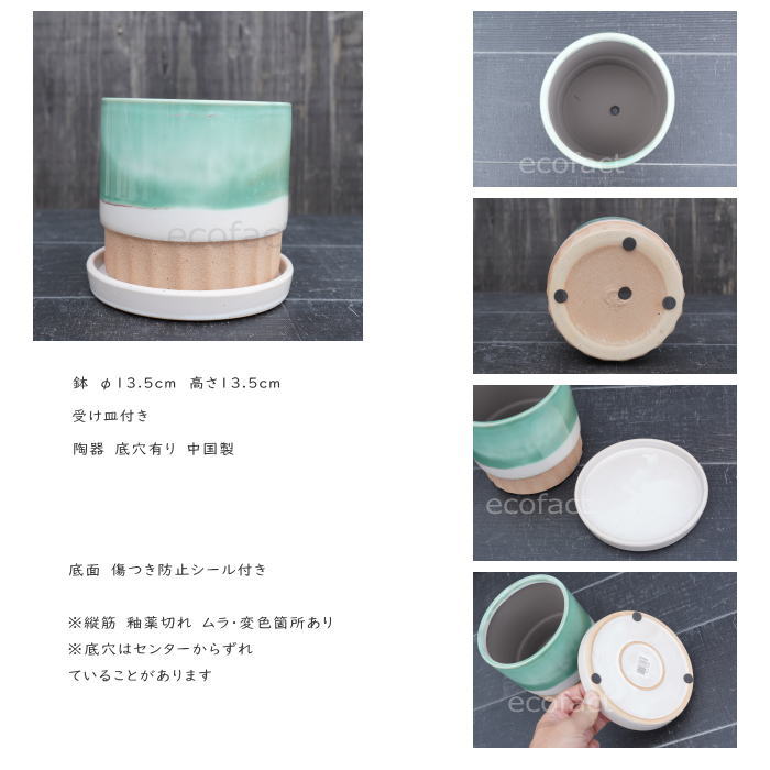 植木鉢 おしゃれ 陶器鉢 フラワーポット ミニポット 底穴あり モダン グリーン φ13.5cm プランター 園芸鉢 観葉植物 多肉植物 熱帯植物 アッシュグレイ アグラオネマ カラテア