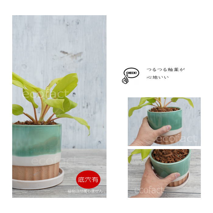植木鉢 おしゃれ 陶器鉢 フラワーポット ミニポット 底穴あり モダン グリーン φ13.5cm プランター 園芸鉢 観葉植物 多肉植物 熱帯植物 アッシュグレイ アグラオネマ カラテア