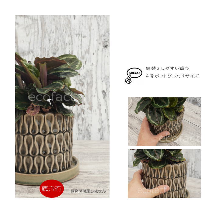フラワーポット 植木鉢 おしゃれ 陶器鉢 ミニポット 底穴あり ドロップ グレイ 筒型 φ14cm プランター 園芸鉢 観葉植物 多肉植物 熱帯植物 アッシュグレイ アグラオネマ カラテア