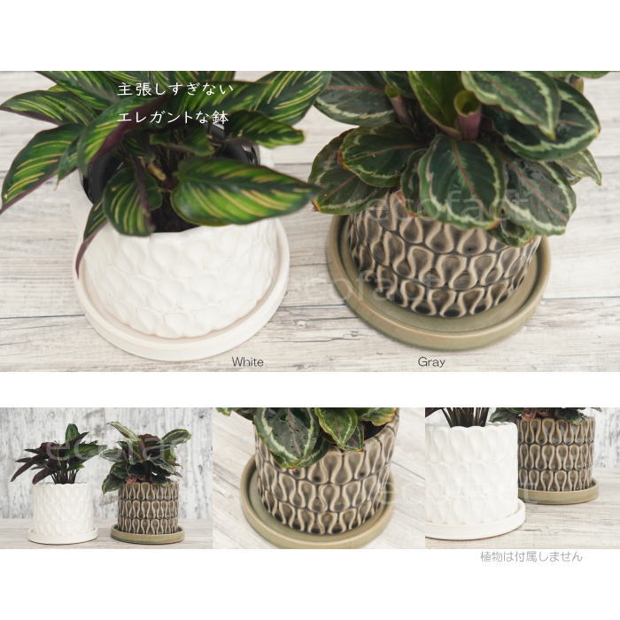 フラワーポット 植木鉢 おしゃれ 陶器鉢 ミニポット 底穴あり ドロップ グレイ 筒型 φ14cm プランター 園芸鉢 観葉植物 多肉植物 熱帯植物 アッシュグレイ アグラオネマ カラテア