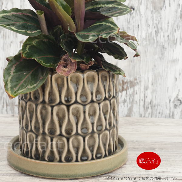 フラワーポット 植木鉢 おしゃれ 陶器鉢 ミニポット 底穴あり ドロップ グレイ 筒型 φ14cm プランター 園芸鉢 観葉植物 多肉植物 熱帯植物 アッシュグレイ アグラオネマ カラテア