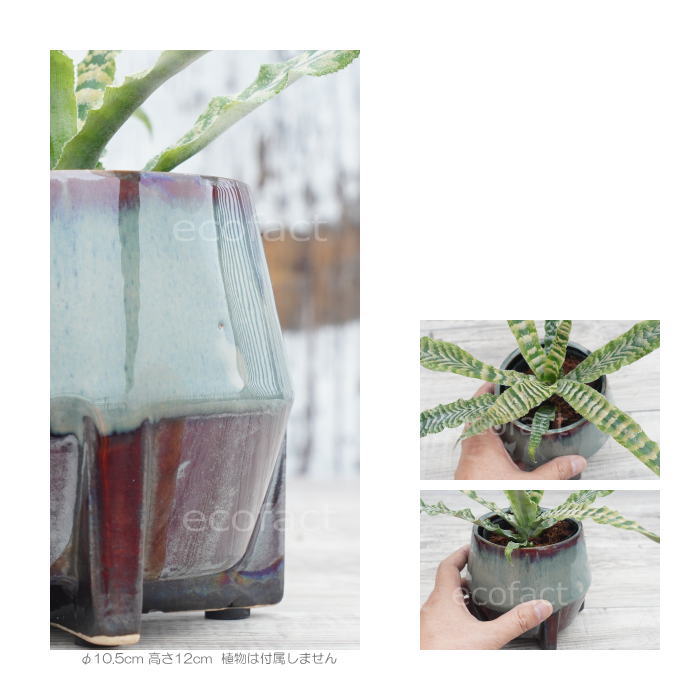 鉢カバー フラワーポット 植木鉢 おしゃれ 陶器鉢 底穴無し tetora s φ10.5cm ポット 陶器 プランター 観葉植物 園芸 ガーデニング アグラオネマ カラテア