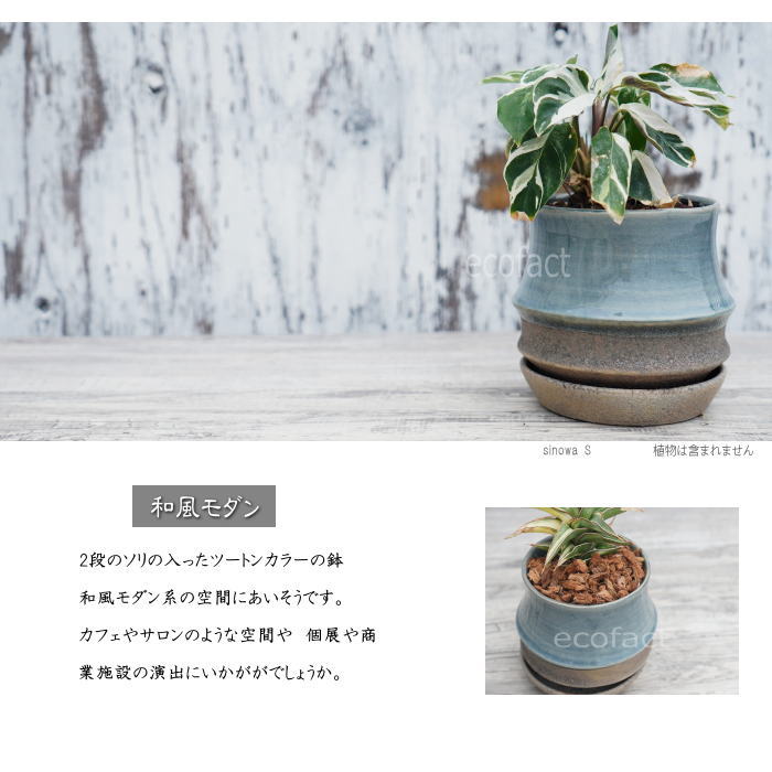 植木鉢 おしゃれ 陶器鉢 フラワーポット ミニポット 底穴あり sinowa s φ10cm プランター 園芸鉢 観葉植物 多肉植物 熱帯植物 アッシュグレイ