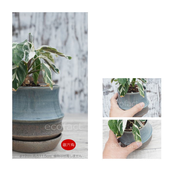 植木鉢 おしゃれ 陶器鉢 フラワーポット ミニポット 底穴あり sinowa s φ10cm プランター 園芸鉢 観葉植物 多肉植物 熱帯植物 アッシュグレイ