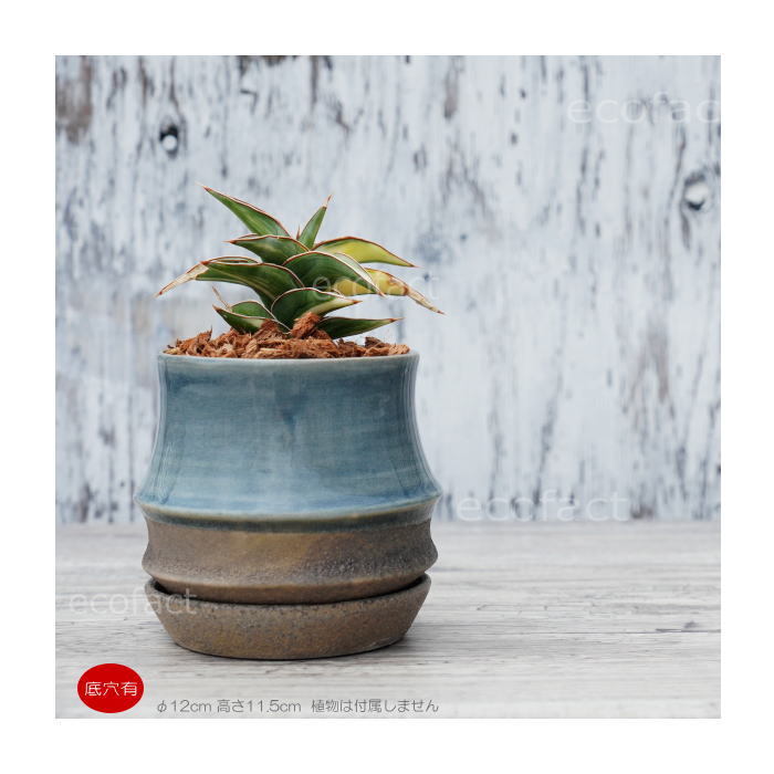 植木鉢 おしゃれ 陶器鉢 フラワーポット ミニポット 底穴あり sinowa s φ10cm プランター 園芸鉢 観葉植物 多肉植物 熱帯植物 アッシュグレイ