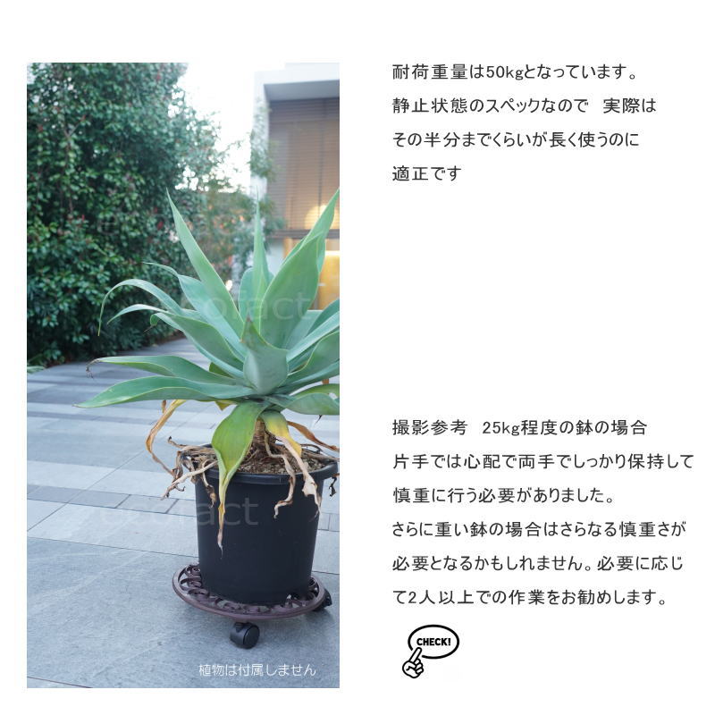 鉢台 植木鉢台 鉢置き台 サークル TG39 キャスター付き 移動花台 植木鉢 鉢受台 フラワースタンド プラントムーバー プランツトロリー プランターキャディ プラントキャディ