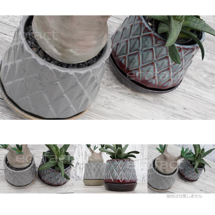 陶器鉢 植木鉢 ミニポット 皿付 パインコーンブラウン φ12cm(15cm) おしゃれ かわいい プランター 園芸鉢 観葉植物 アガベ サボテン ビザールプランツ 塊根植物 コーデックス 多肉植物