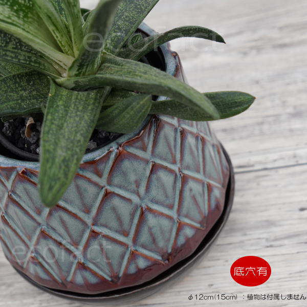 陶器鉢 植木鉢 ミニポット 皿付 パインコーンブラウン φ12cm(15cm) おしゃれ かわいい プランター 園芸鉢 観葉植物 アガベ サボテン ビザールプランツ 塊根植物 コーデックス 多肉植物