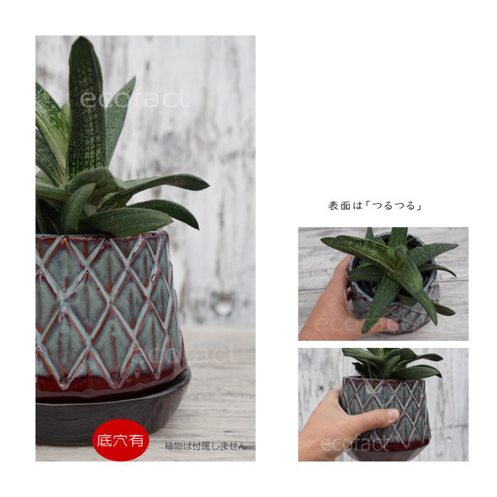 陶器鉢 植木鉢 ミニポット 皿付 パインコーンブラウン φ12cm(15cm) おしゃれ かわいい プランター 園芸鉢 観葉植物 アガベ サボテン ビザールプランツ 塊根植物 コーデックス 多肉植物