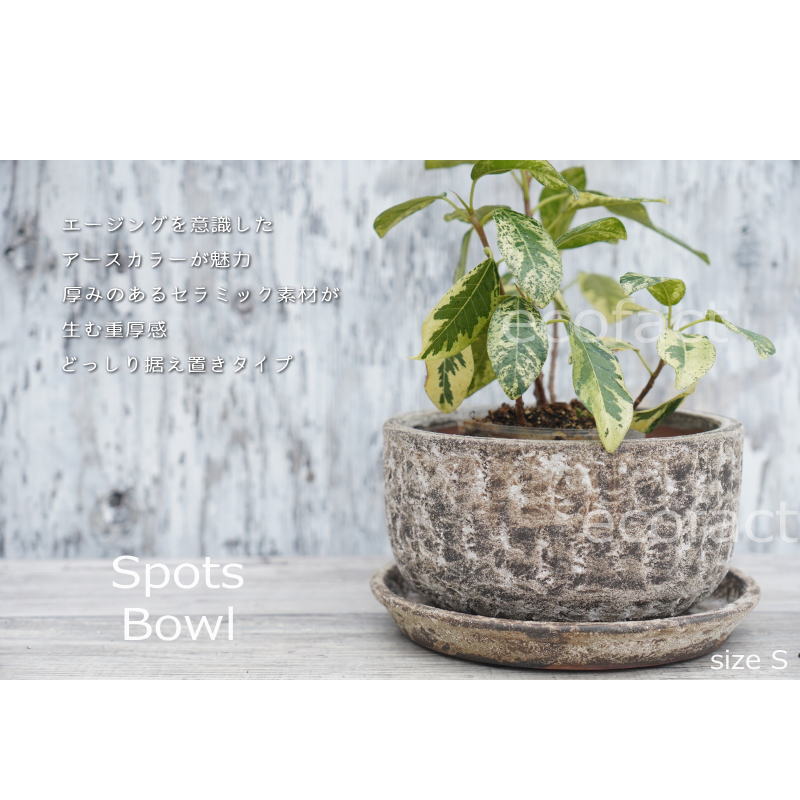 ポット 鉢 植木鉢 プランター おしゃれ 陶器 φ19cm スポッツボウル ラストM アッシュグレイ フラワーベース 花瓶 ガーデニング 園芸