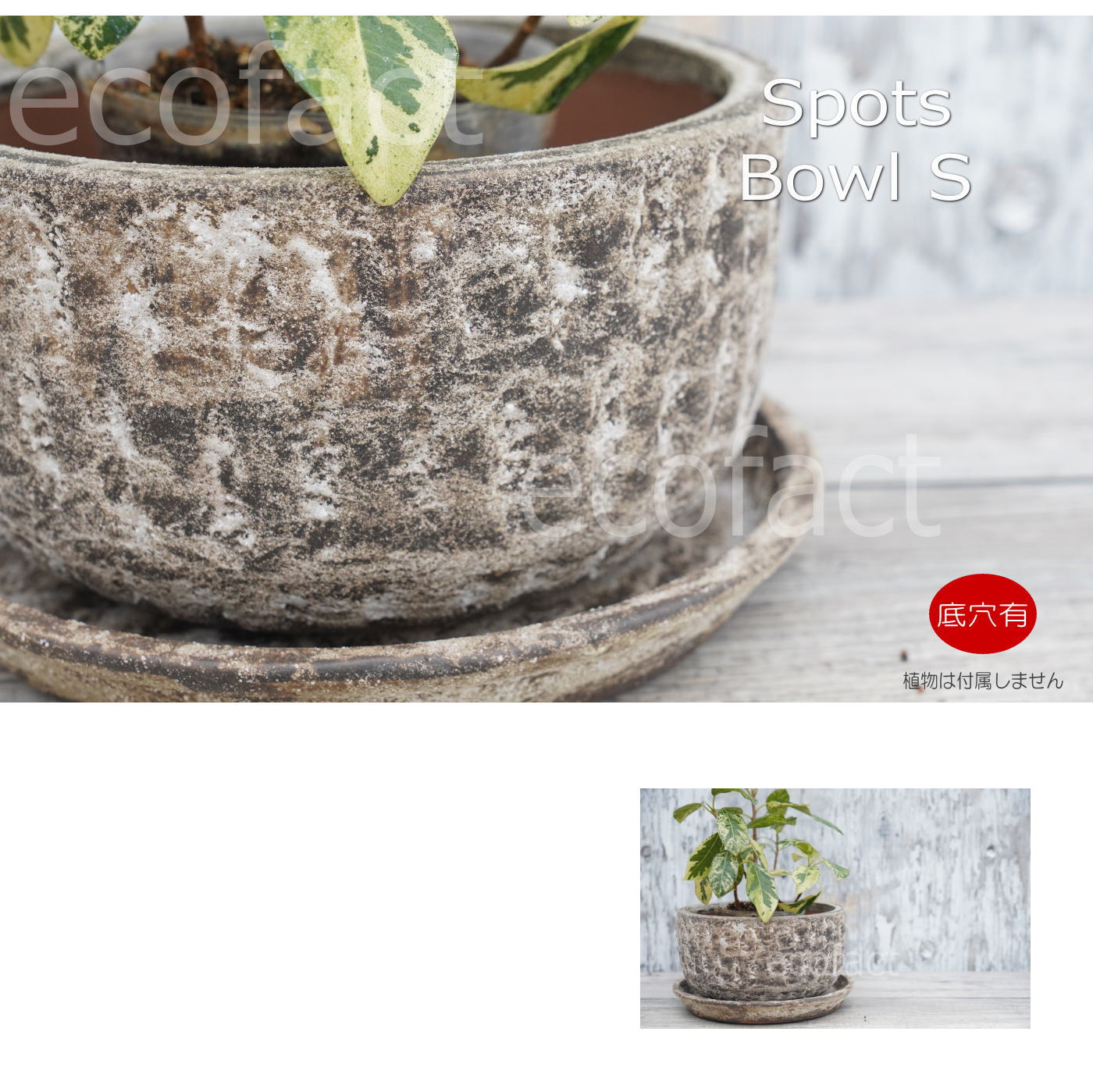 ポット 鉢 植木鉢 プランター おしゃれ 陶器 φ19cm スポッツボウル ラストM アッシュグレイ フラワーベース 花瓶 ガーデニング 園芸